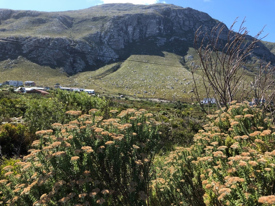 0 Bedroom Property for Sale in Bettys Bay Western Cape